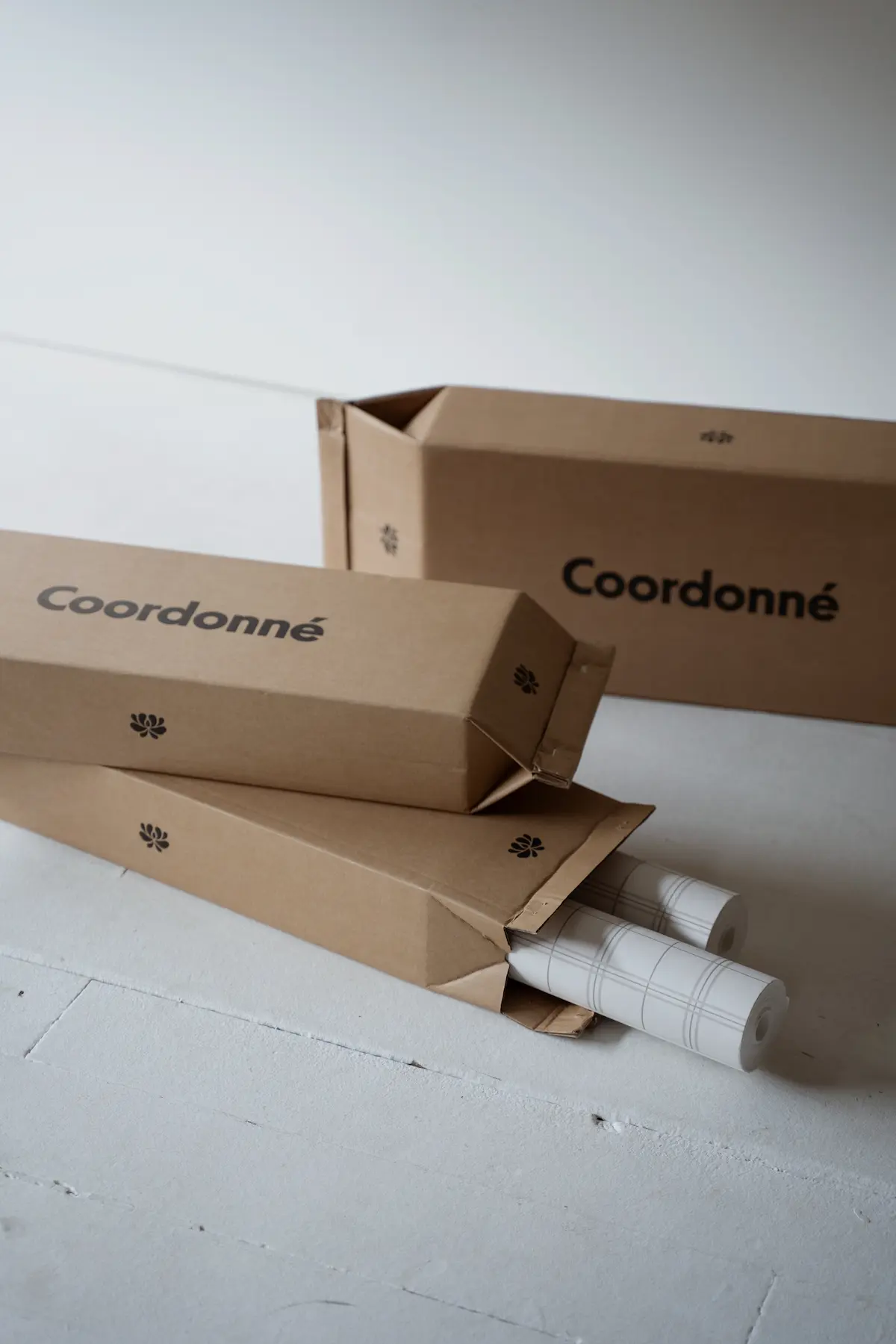 ECO PACKAGING 1