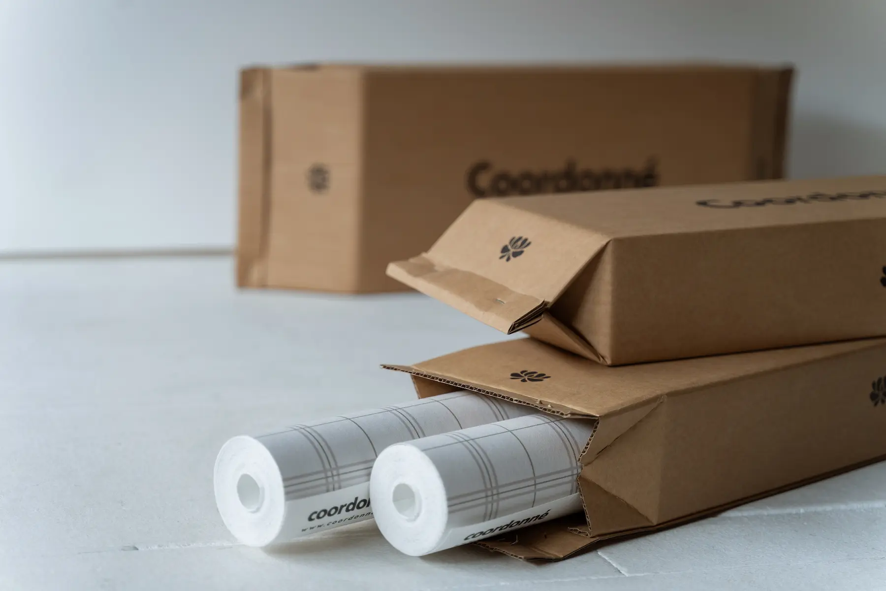 ECO PACKAGING 3