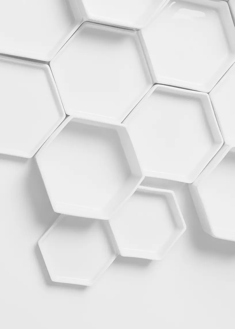 HIVE 1